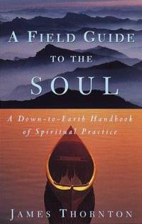 A Field Guide to the Soul : A Down-to-Earth Handbook of Spiritual Practice