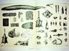 Contribution a l'Anatomie du Simenchelys parasiticus Gill