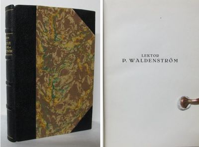 Lektor P. Waldenström. Ett biografiskt…