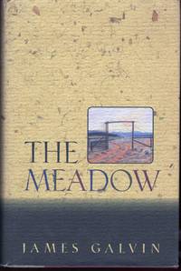 The Meadow by Galvin, James - 1992