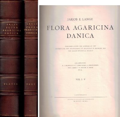 Flora Agaricina Danica. Published under the…