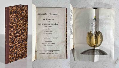 Pittoreska rapsodier ur skämtets och sanningens…