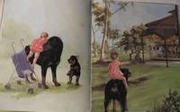 image of Carl`s Afternoon in the Park