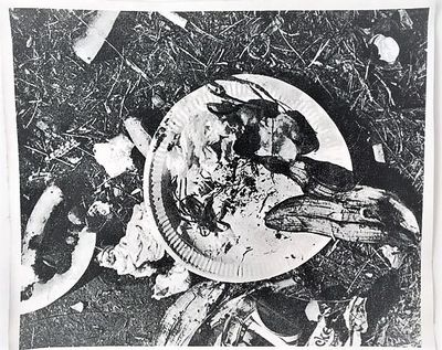 Picnic Garbage Vinyl Placemat.