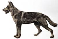 Man-Kind" Brand Dog and Cat Food Advertising Die-Cut Card