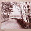 Photographs of Ireland from Cork to Killarney (missing #2, 12, 17, 18, 32 (all counted to here) 57-68, 79-84