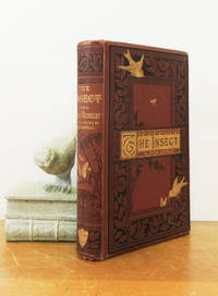 image of The Insect