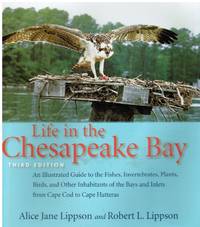 image of Life in the Chesapeake Bay (SIGNED)