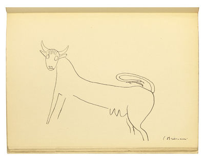 Plante si Animale: terase