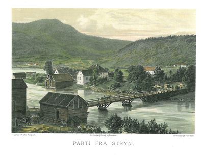 Parti fra Stryn.