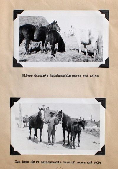 United States Department of the Interior Annual Report, Division of Extension and Industry: Rosebud Jurisdiction, Rosebud Reservation and Yankton Sub Agency