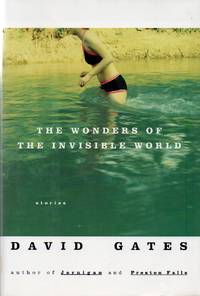 The Wonders of the Invisible World