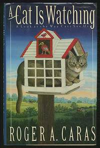 image of A Cat is Watching: A Look at the Way Cats See Us