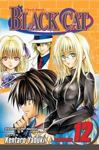 Black Cat Vol. 12