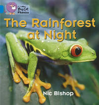The Rainforest at Night: Band 04/Blue (Collins Big Cat Phonics)