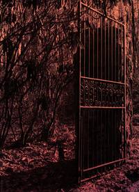 image of At Dusk Iridescent: A Gathering of Poems, 1972-1997