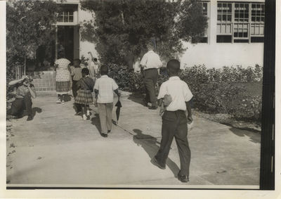 BUSING IN MIAMI, FLORIDA (1959) Press photo