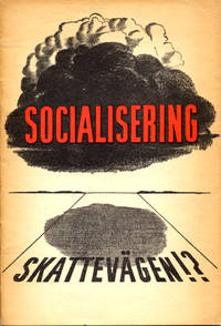 Socialisering skattevägen!?
