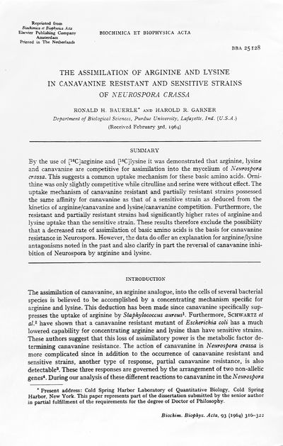 "The Assimilation of Arginine and Lysine in Canavanine Resistant and Sensitive Strains of Neurospora Crassa." Offprint from: Biochimica et Biophysica Acta, 93, 1964.