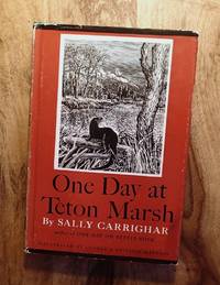 image of ONE DAY AT TETON MARSH