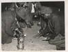 AFRICAN AMERICANS SHOOTING DICE (1938) Photo