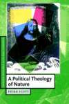 A Political Theology of Nature (Cambridge Studies in Christian Doctrine)