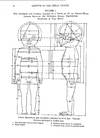 The Development and Growth of the External Dimensions of the Human Body in the Fetal Period