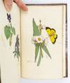 View Image 1 of 6 for THE FAMILY HERBAL Inventory #ST19567-094