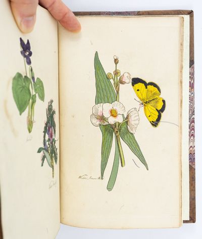 Bungay: C. Brightly and Co. and T. Kinnersley, 1812. Sixth Edition. 215 x 133 mm. (8 1/2 x 5 1/4