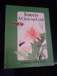 image of Insects, A Close-up Look