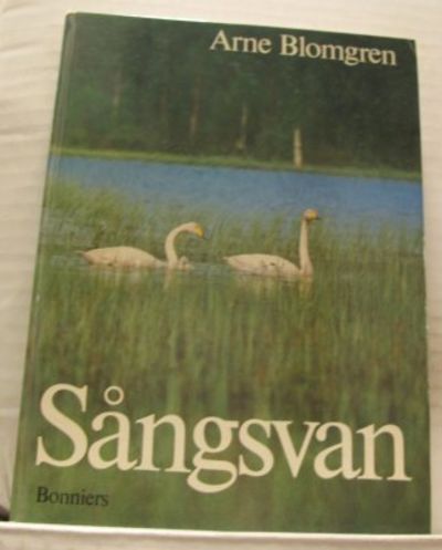 Sångsvan.