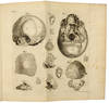 ROBERT NESBITTS OSTEOGENIE ODER ABHANDLUNG VON ERZEUGUNG DER KNOCHEN IM MENSCHLICHEN KÖRPER IN ZWEEN VORLESUNGEN ERKLÄRT, DIE AUF DEM ANATOMISCHEN THEATER DER WUNDÄRZTE IN LONDON DEN ERSTEN UND ANDERN DES HEUMONATS, IM JAHR 1731. GEHALTEN WORDEN . . .