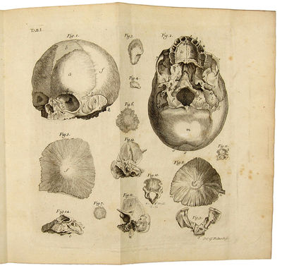 ROBERT NESBITTS OSTEOGENIE ODER ABHANDLUNG VON ERZEUGUNG DER KNOCHEN IM MENSCHLICHEN KÖRPER IN ZWEEN VORLESUNGEN ERKLÄRT, DIE AUF DEM ANATOMISCHEN THEATER DER WUNDÄRZTE IN LONDON DEN ERSTEN UND ANDERN DES HEUMONATS, IM JAHR 1731. GEHALTEN WORDEN . . .