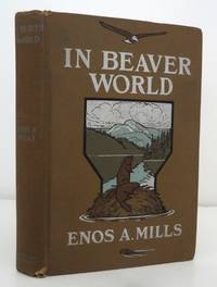 In Beaver World