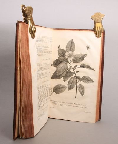 Hortus Cliffortianus Plantas exhibens quas in Hortis tam Vivis quam Siccis, Hartecampi in Hollandia, coluit vir nobilissimus & generossimus Georgius Clifford juris utriusque doctor, Reductis varietatibus ad Species, Speciebus ad Genera, Generibus ad Classes, Adjectis Locis Plantarum natalibus Differentiisque Specierum. Cum tabulis æneis... (photo 2)