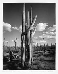 TOTEM  THE PAPAGO LEGEND OF THE CREATION OF THE GIANT CACTUS, CALLED SAGUARO, WITH TWELVE PHOTOGRAPHIC IMAGES BY ... by [Okeanos Press]: von dem Bussche, Wolf [editor & photographer] - 1993