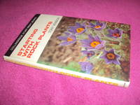 Starting with rock plants