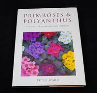 Primroses & Polyanthus : A Guide to the Species and Hybrids