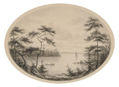 Insjölandskap med skog i förgrunden.