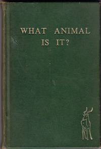 What Animal is it ?