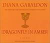 Dragonfly In Amber