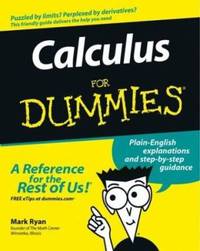 Calculus for Dummies?