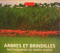 Arbres et brindilles