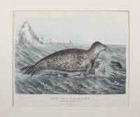 The Sea Leopard