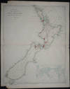 Map of the Colony of New Zealand; From Official Documents