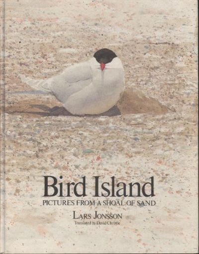 BIRD ISLAND. Pictures from a Shoal of Sand.