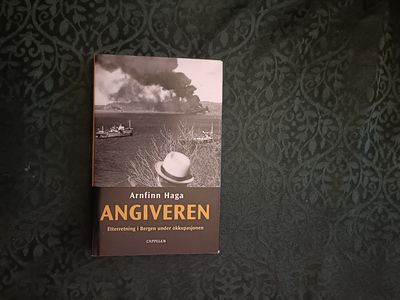Angiveren. Etterretning i Bergen under…