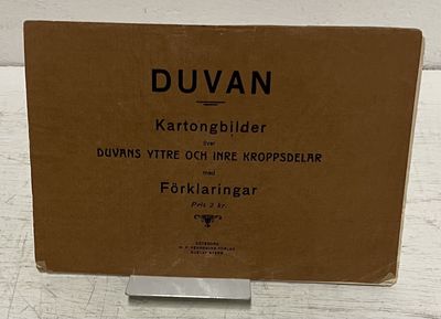 Duvan. Kartongbilder över duvans yttre och inre kroppsdelar med förklaringar. (photo 2)