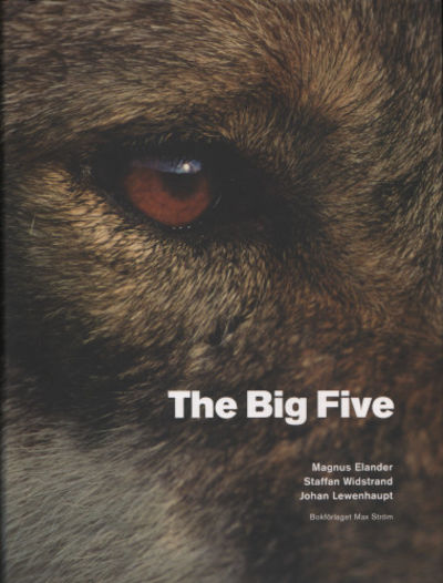 THE BIG FIVE.