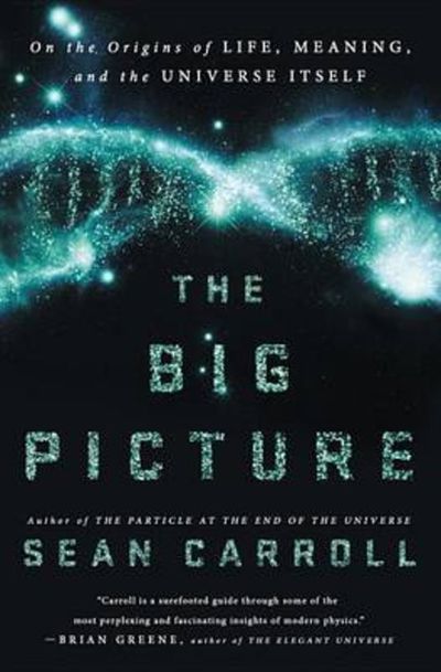 The Big Picture. On the Origins of Life, Meaning,…